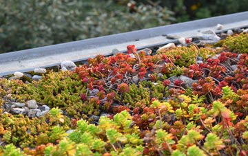 the cost of Maudlin Cross green roof installation