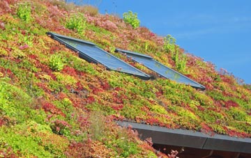 Maudlin Cross living roof systems