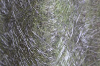 Maudlin Cross fibreglass roof work